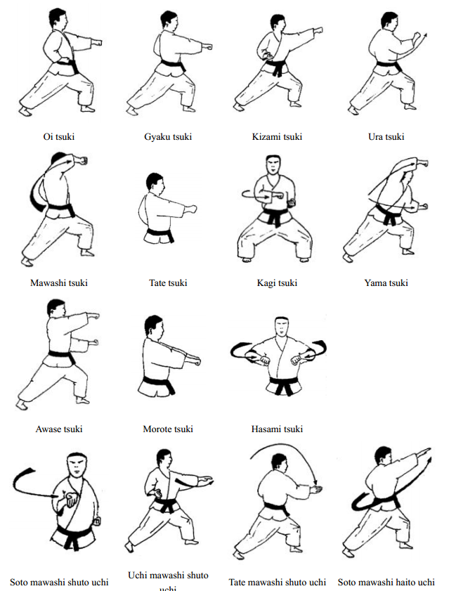 Best Karate Moves Ever - Easy Learn Self Defense