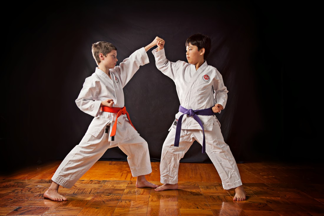 Your life, your soul.: “Karate? Taekwondo? Bedanya apa sih?”