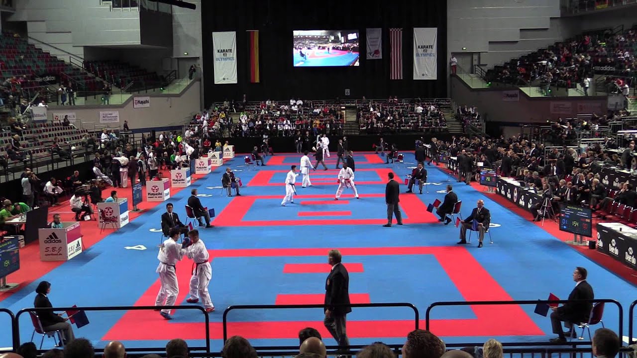 General view of the four tatamis of the ÖVB Arena - 2014 World Karate